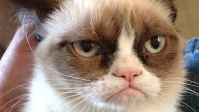 Grumpy Cat Angry Face