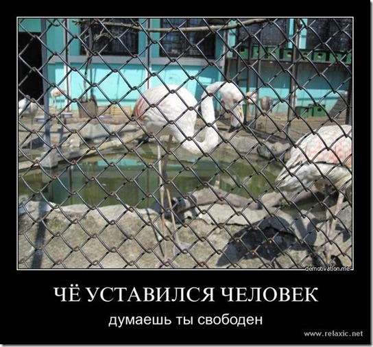 clip_image019