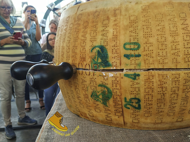 APERTURA DE LA RUEDA PARMIGIANO REGGIANO