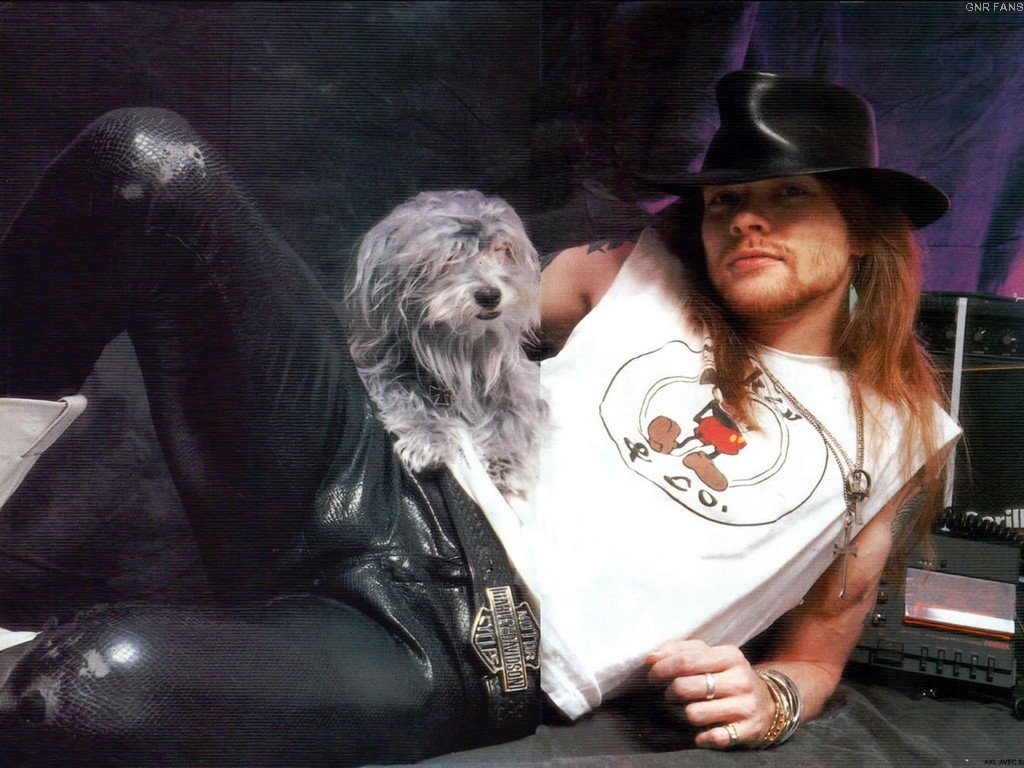 GNR Fans: Guns N' Roses Wallpapers