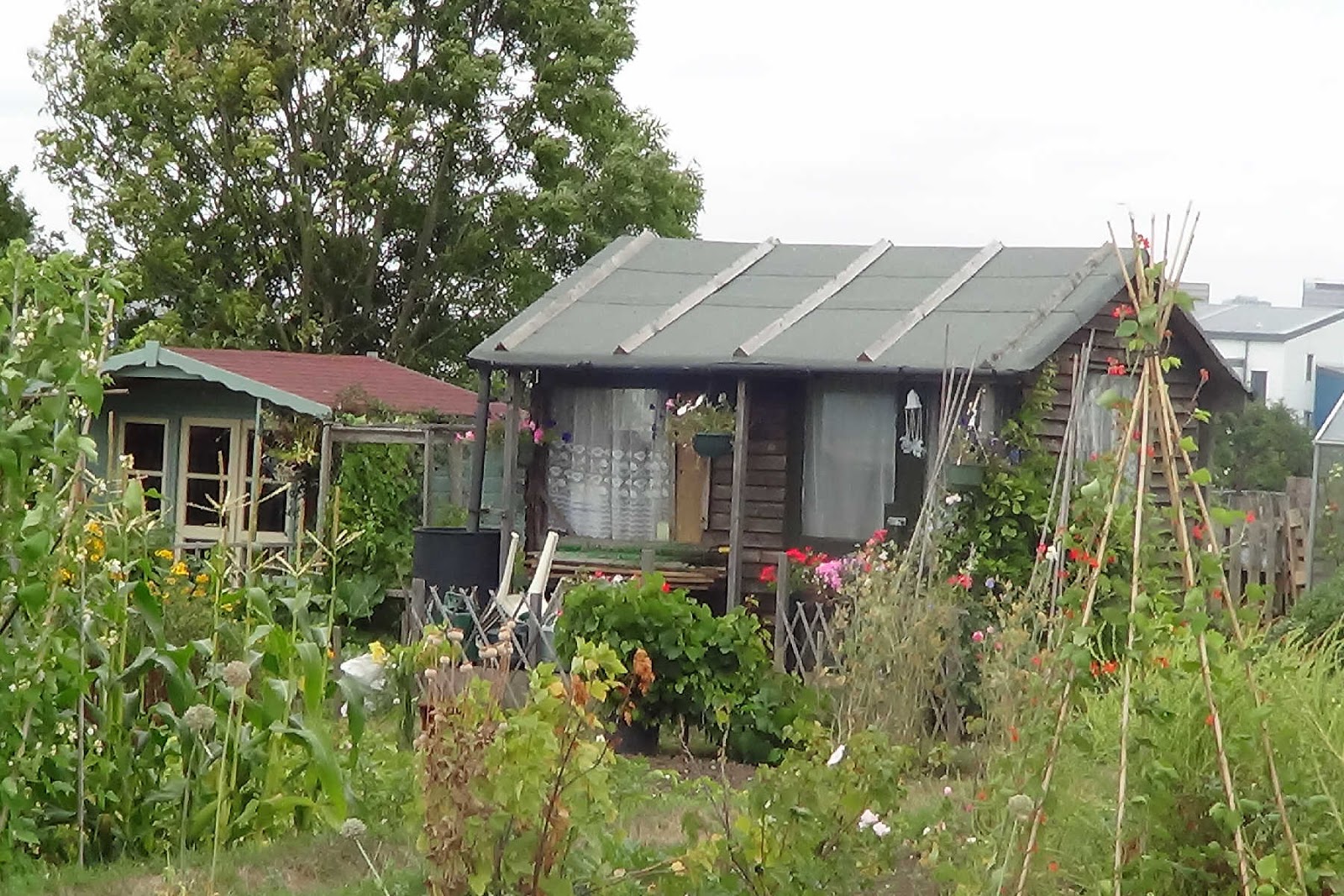  Shed : Construct Your Own Shed With Wooden Garden Storage Shed Plans