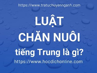 Luật chăn nuôi tiếng Trung là gì?