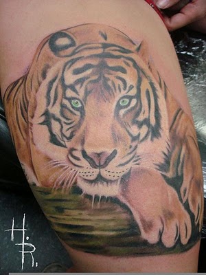 Amazing Body Tattoos Designs