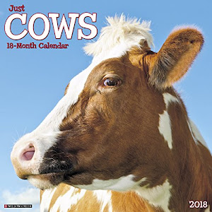 Just Cows 2018 Calendar