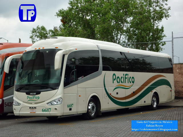 Pacifico Man Irizar i6