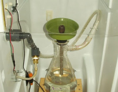 Strange Homemade Bong