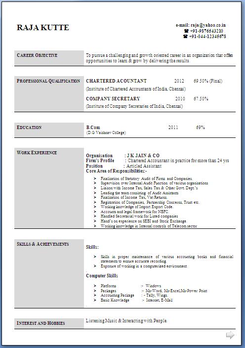 Download Chartered Accountant Professional Resume