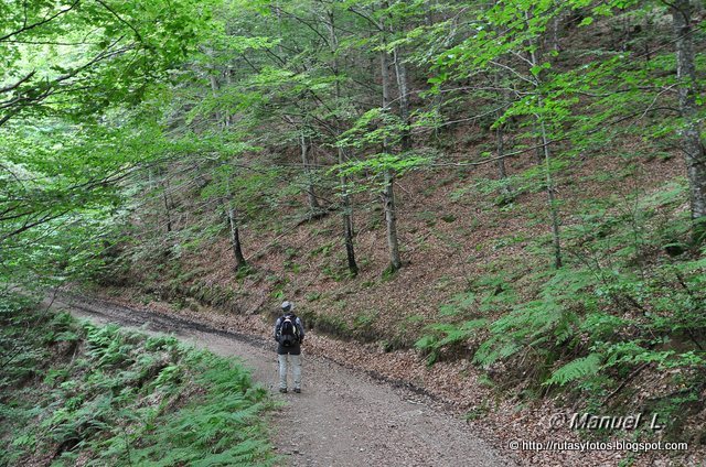 Los Robles y Cascada del Taballon del Mogallu