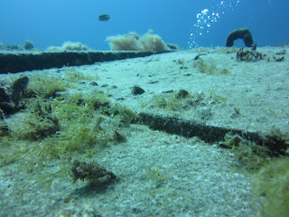 Diving Tenerife