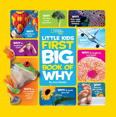 Little Kids First Big Book of Why (First Big Book) (National Geographic Little Kids First Big Books) Hardcover – 9 Jun 2011