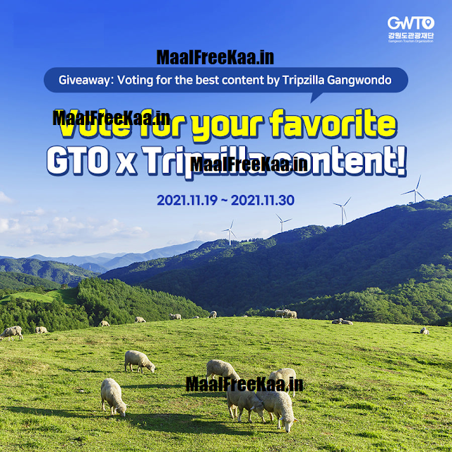 All about Korea Tripzilla vote and win contest