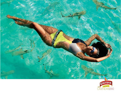 Kingfisher Calendar