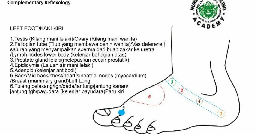 Reflexology Bahagian Atas Kaki ~ Abe Urut