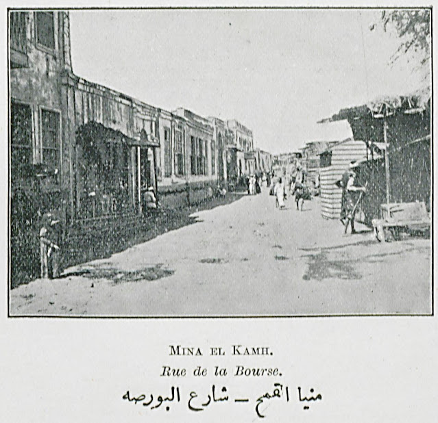 منيا القمح - شارع البورصه