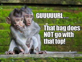 30 Funny animal captions - part 21 (30 pics), captioned animal pictures, sassy monkeys, guuurl