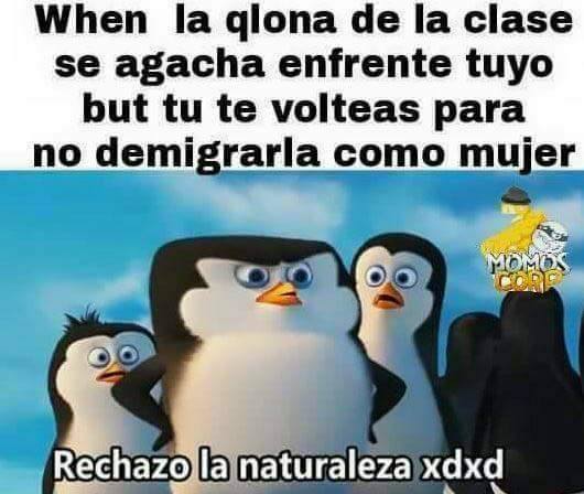 Rechazo la naturaleza