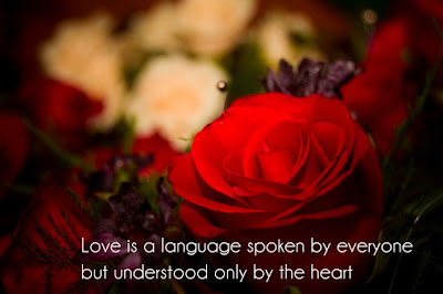 Inspirational Love Quotes