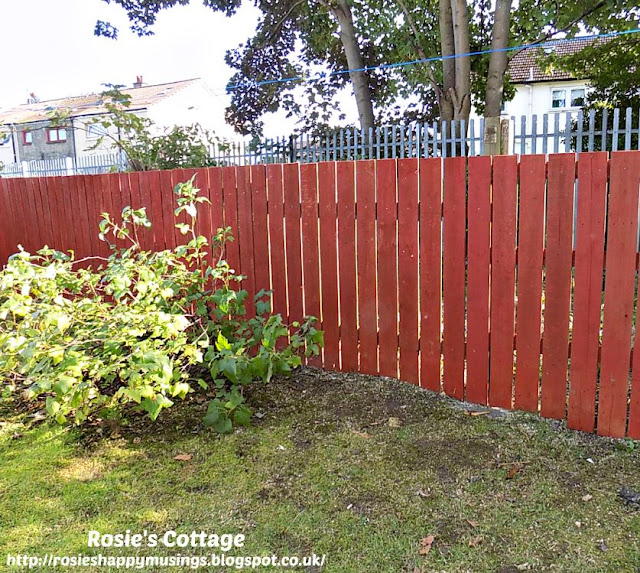 The Picture Perfect Project October New Fencing is Built In The Garden