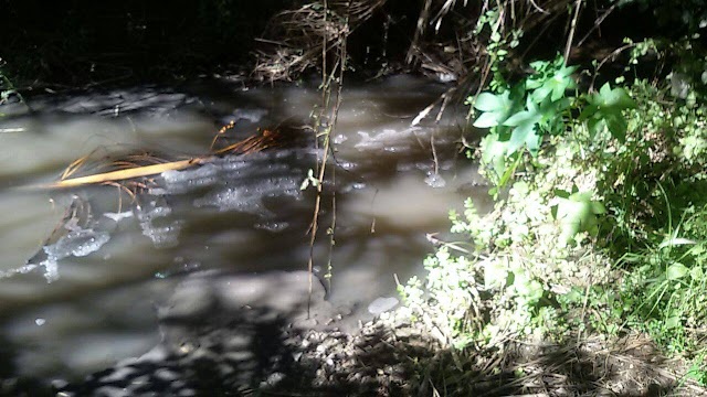 Los vecinos de Doña Pepa denuncian el vertido de aguas fecales en Arroyo Lagar