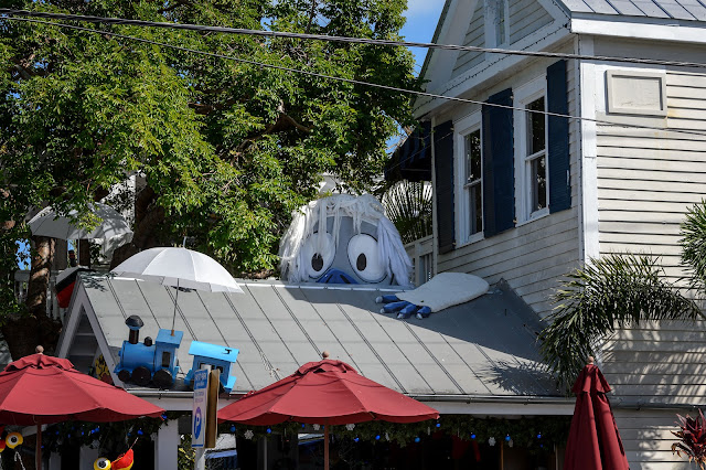 A Bumble at Key West, Florida