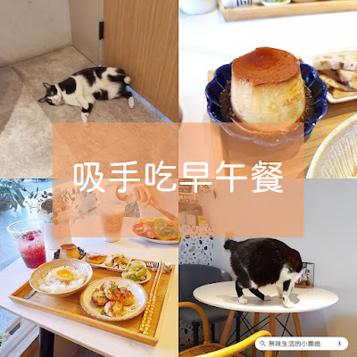 【台北貓咪餐廳】吸手吃早午餐｜早午餐、飯食、咖啡、泡泡飲、甜點、Wi-Fi