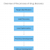 Overview of the process of drug discovery