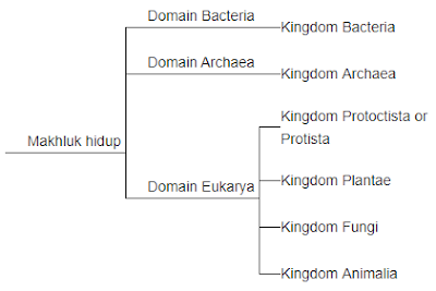 sistem tiga kingdom utama atau urkingdom