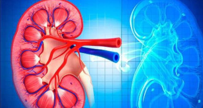 World Kidney Day 2022: ये 10 आदतें आपकी किडनी को कर देंगी खराब, आज से ही छोड़ें