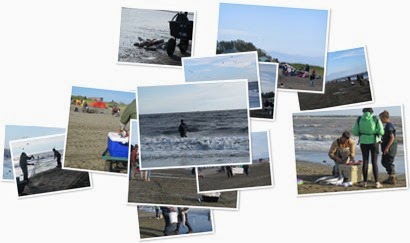 View album