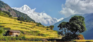 Eco-Tourism and Sustainable Travel