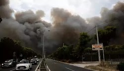  «Η κλιματική αλλαγή επιδείνωσε μια ήδη δύσκολη κατάσταση με τις πυρκαγιές» λέει ο καθηγητής Βιολογίας της Κλιματικής Αλλαγής στο Πανεπιστήμ...