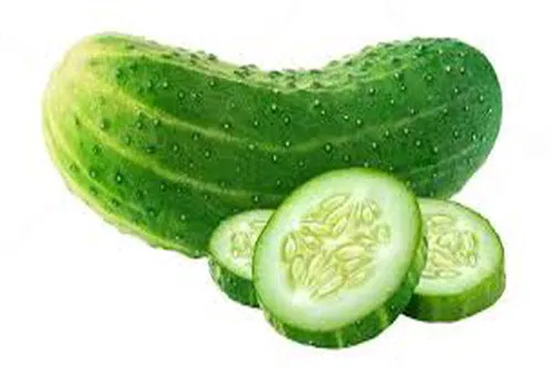 Cucumber