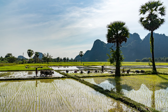 Grotte de Ya-Thay-Pyan - Région de Hpa An - Myanmar Birmanie