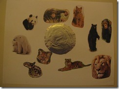 IMG_0426 IMG_0426
