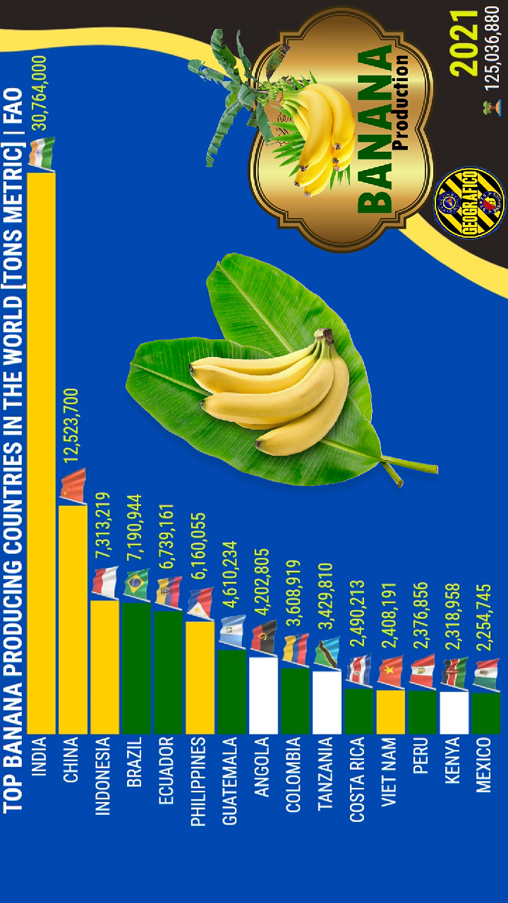 Produtores de Banana no Mundo