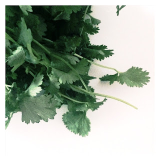 Coriander leaf, coriander leaves, coriander, herb, herbs, fresh, green, health, unique, taste, aroma