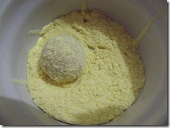 DSCF1668