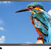 LED Television Full HD 32 Inch Flat Screen Rich Color     