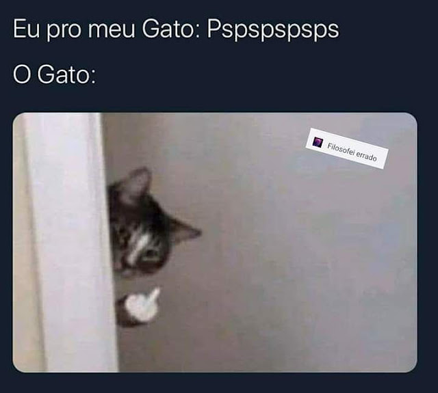 Memes engraçados 