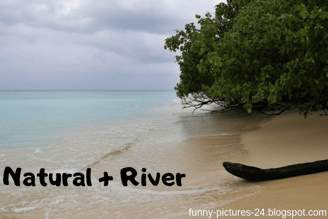 FUNNY IMAGES Long Adventures - Nature+River