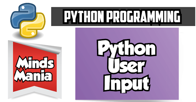 Python User Input