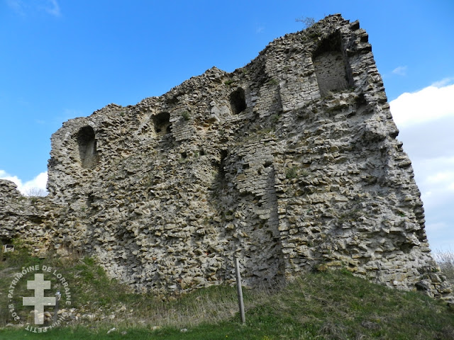 VAUDEMONT (54) - Donjon des comtes de Vaudémont