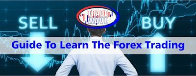 GUIDE TO LEARN THE FOREX TRADING