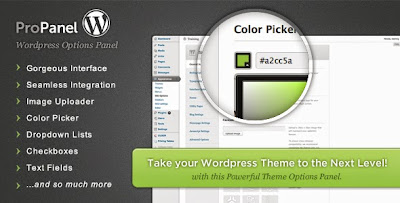 ProPanel � WordPress Theme Options Panel � Codecanyon