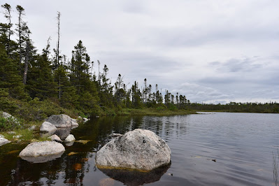 Gros Morne National Park.