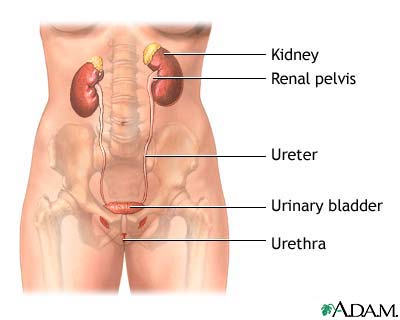  A urinary tract infection 