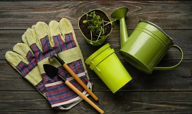 gardening supplies and tools