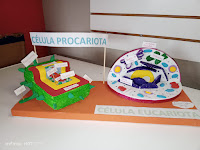 maquetas de celulas procariota y eucariota