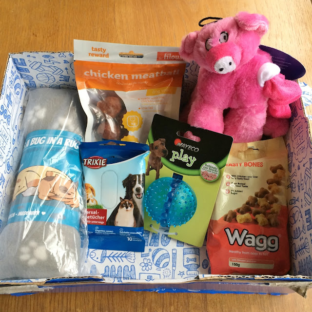 Review of pawsome box for november for ollie