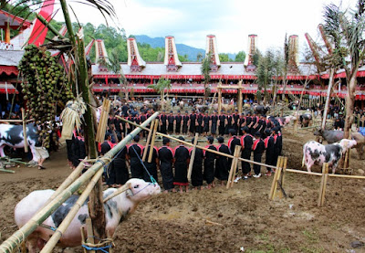 Hal-hal Tentang Toraja yang Tidak Terlupakan